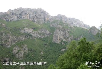 臨夏太子山風景區照片