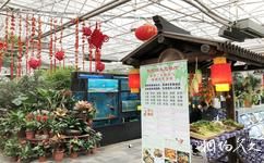 上海联怡枇杷乐园旅游攻略之农家美食
