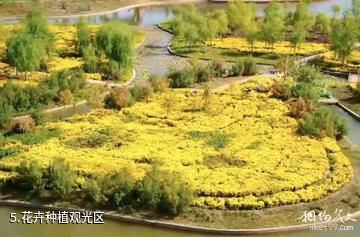 伽师城中胡杨生态园-花卉种植观光区照片