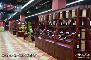 陝西張裕瑞那城堡酒庄-葡萄酒商業街照片