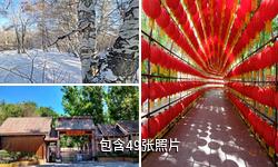 阿勒泰桦林公园驴友相册
