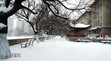 哈尔滨工程大学-冬日雪景照片
