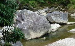 温州永嘉龙湾潭国家森林公园旅游攻略之猿猴戏水