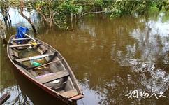 巴西亚马逊雨林旅游攻略之小木船