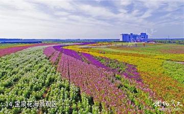 鹤岗宝泉岭现代农业生态园-宝泉花海景观区照片