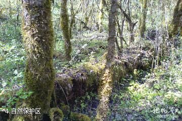 四川王朗国家级自然保护区-自然保护区照片
