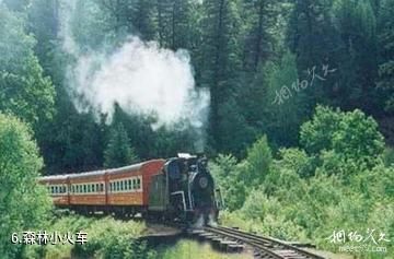 哈尔滨森林小火车度假区青峰山庄-森林小火车照片