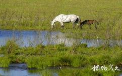 镇赉莫莫格国家级自然保护区旅游攻略之万宝山草原民俗风情景区