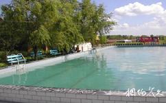 铁农园艺园度假村旅游攻略之休闲设施露天泳池
