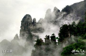 金秀莲花山旅游景区-云雾照片