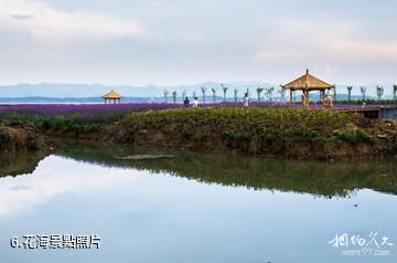 威寧草海國家級自然保護區-花海照片