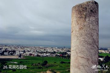 突尼斯市-花岗石圆柱照片