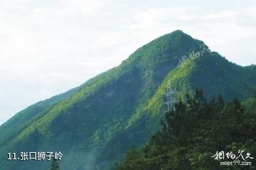萍乡杨岐山风景区-张口狮子岭照片
