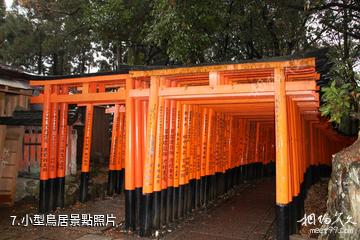 京都伏見稻荷大社-小型鳥居照片