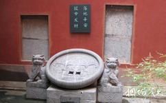 郑州城隍庙旅游攻略之投币许愿
