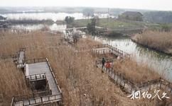 下渚湖國家濕地公園旅遊攻略之竹橋迷宮