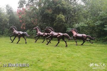 荊州楚王車馬陣景區-園林照片