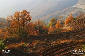 延安子午岭国家级自然保护区-秋景照片
