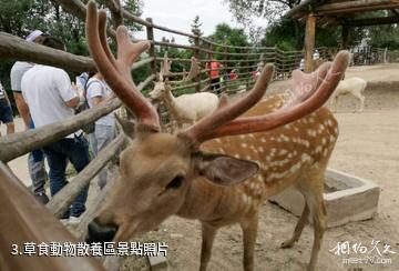 西寧青藏高原野生動物園-草食動物散養區照片