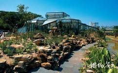 中科院华南植物园旅游攻略之非洲沙漠植物区