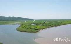 黑龙江八岔岛国家级自然保护区旅游攻略之鸟类