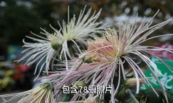 青島中山公園驢友相冊