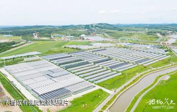 長春天定山旅遊度假小鎮-智成有機農業照片