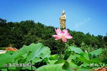 大連橫山北普陀主題文化公園-蓮花池照片