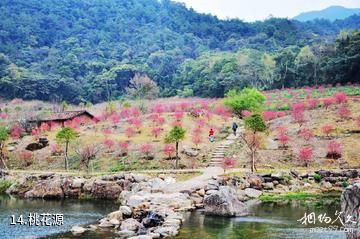 广州从化石门国家森林公园-桃花源照片