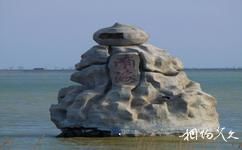 东营龙悦湖天鹅湖旅游攻略之南海石