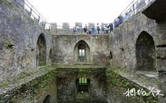愛爾蘭布拉尼城堡旅遊攻略之城堡