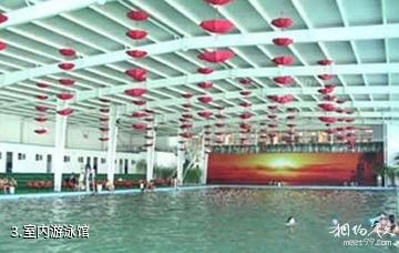 鹤壁三兴康乐村（已关闭）-室内游泳馆照片