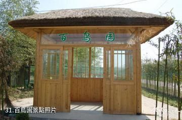 江蘇永豐林農業生態園-百鳥園照片