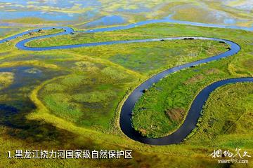黑龙江挠力河国家级自然保护区照片