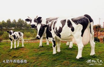 枣庄祥和庄园景区-奶牛养殖基地照片