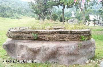 寧波綠野山莊-千年乳石盆照片