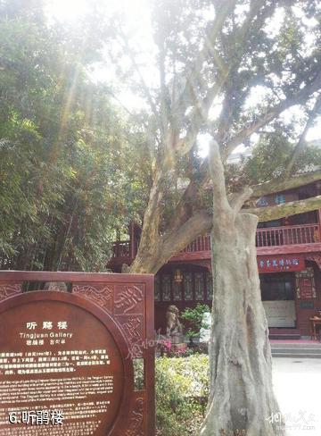 成都望丛祠景区-听鹃楼照片
