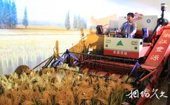 安徽中國稻米博物館旅遊攻略之現代化水稻生產