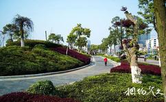 长沙湘江风光带旅游攻略之绿色植物