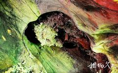 儋州石花水洞地質公園旅遊攻略之捲曲石