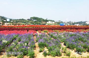 西充中國有機生活公園-公園照片