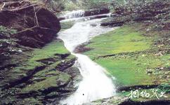 湖北星斗山国家级自然保护区旅游攻略之山泉溪流