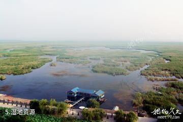 河南黄河湿地国家级自然保护区-湿地资源照片