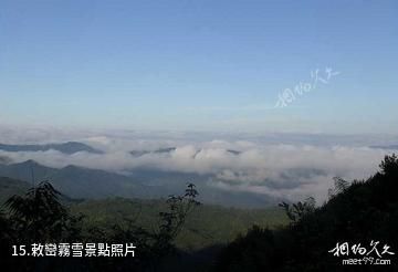 景寧草魚塘森林公園-敕巒霧雪照片