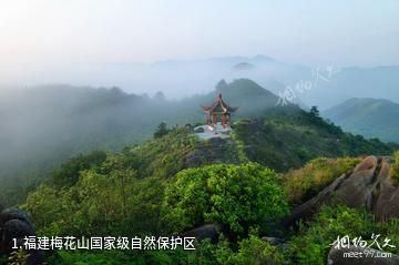 福建梅花山国家级自然保护区照片