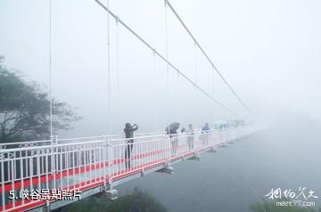 宜昌三峽九鳳谷景區-峽谷照片