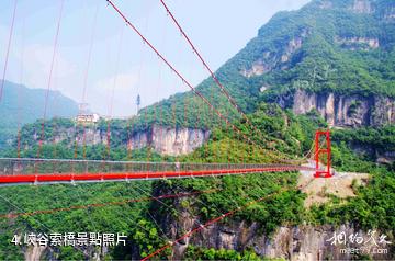 襄陽保康九路寨生態旅遊區-峽谷索橋照片