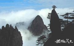 安徽黃山旅遊攻略之白雲景區