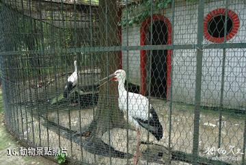 鹽城人民公園-動物照片