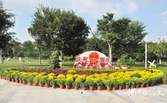 泰州天德湖公园旅游攻略之花卉艺术节